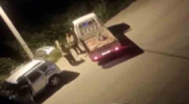 Tarla sahibine yakalanan enginar hırsızı: