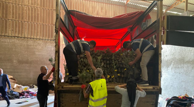 İzmir’den Osmaniye’ye 20 bin zeytin fidanı