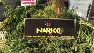 Tarım serasına uyuşturucu operasyonu: 3 gözaltı