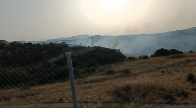 Aliağa’da makilik alanda yangın