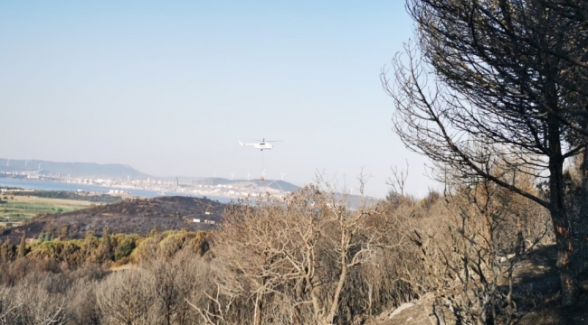 Aliağa'daki yangında toplam 120 hektar alan kül oldu.