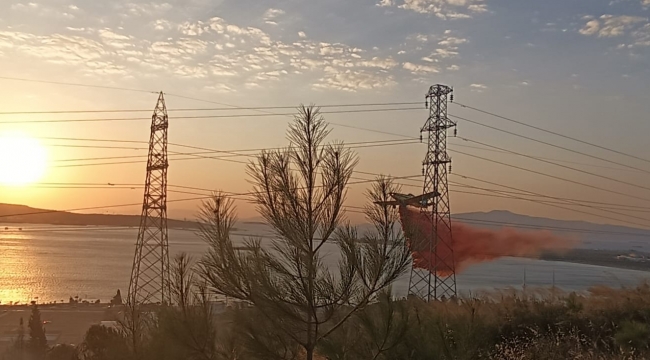 Aliağa’daki orman yangını kontrol altına alındı
