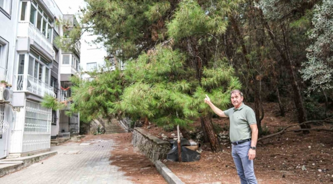 İzmir’de bir mahalle orman yangını korkusuyla yaşıyor