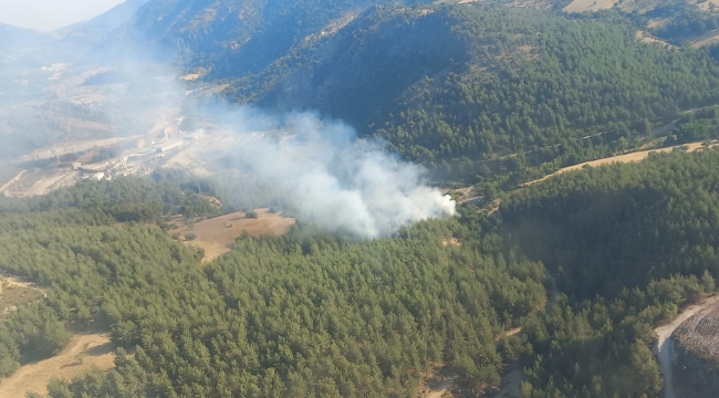 İzmir’de orman yangınına havadan ve karadan müdahale ediliyor