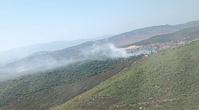 Foça’daki orman yangını kontrol altında