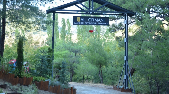 TÜRKİYE’NİN EN BÜYÜK BAL ORMANI KAZDAĞLARI’NDA