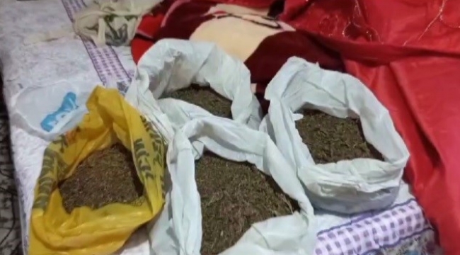 İzmir’de jandarmadan 9 adrese uyuşturucu baskını