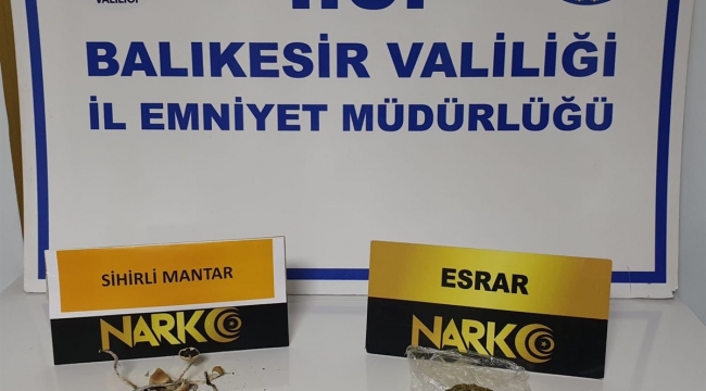 Ayvalık’ta Narkotik Polisinden “Sihirli Mantar” Operasyonu