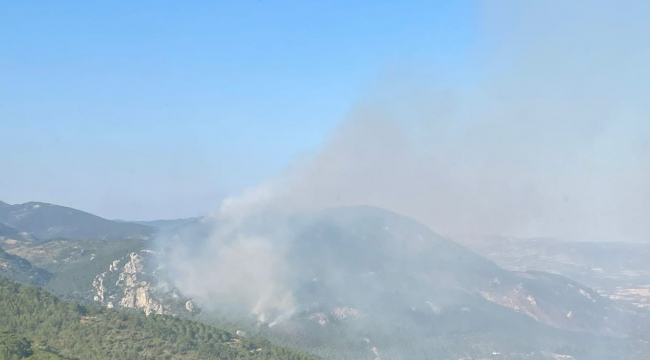 Bergama'da Orman Yangını! Ekipler Havadan Ve Karadan Müdahale Ediyor
