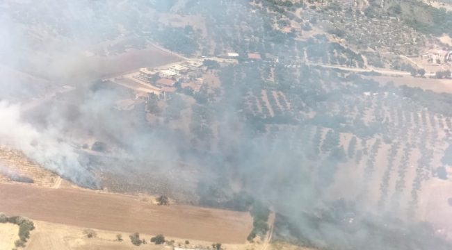 Çeşme ve Urla'’da orman yangını