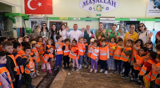 Aliağalı Minik Öğrenciler Şakran’da Zeytin Hasadı Yaptı