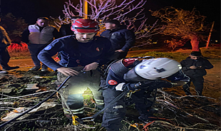 İtfaiye ekipleri buzağıyı düştüğü kuyudan çıkardı