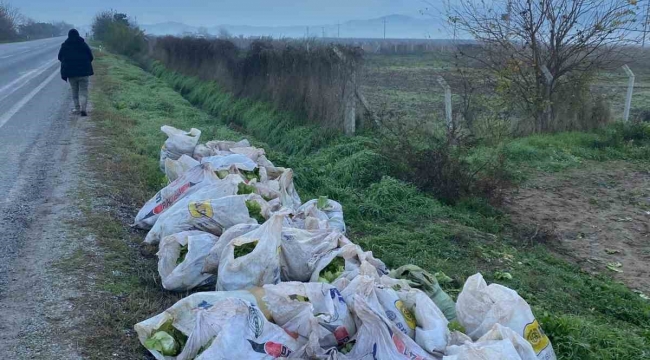 İzmir’de çuval çuval marul çalan 3 şüpheli tutuklandı