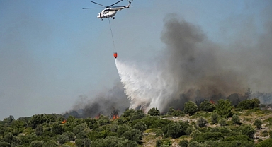 Bakan Yumaklı'dan 'yeşil vatan' uyarısı!