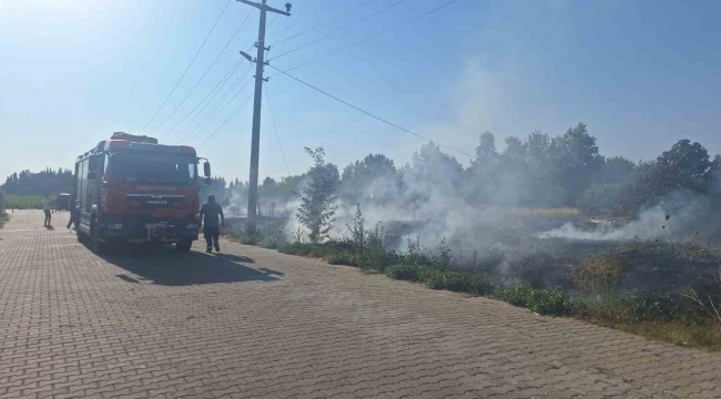 Selçuk’ta sazlık alanda yangın paniği