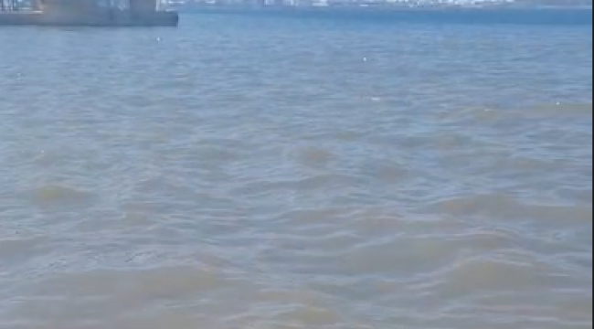 Aliağa'da Arıtma Tesisi Tartışması: Siyasetin Gündemi Deniz Kirliliği