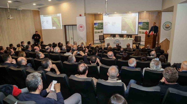 Avrupa’nın en büyük sera kümelenmelerinden biri Dikili’de yükseliyor