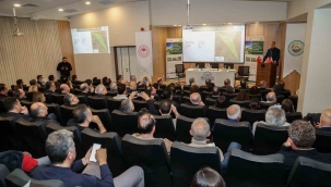 Avrupa’nın en büyük sera kümelenmelerinden biri Dikili’de yükseliyor