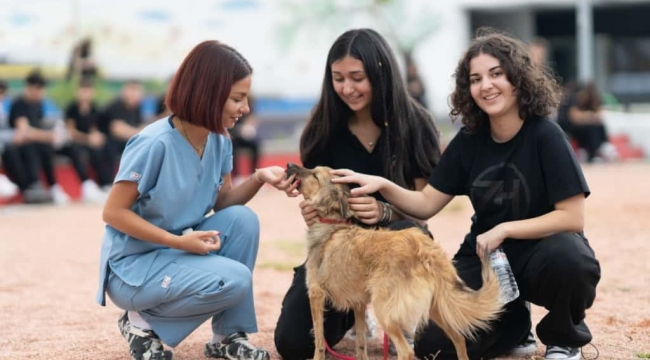 On binlerce cana dokunan seferberlik