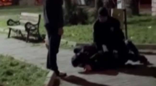 Parkta taşkınlık çıkardılar, görevli bekçilere direndiler