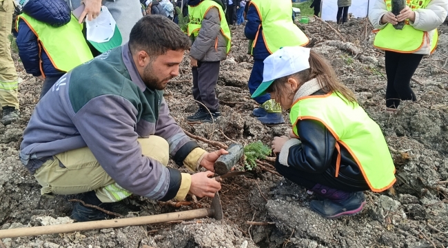 Yanan Sahada Geleceğe Nefes: Küllerinden Doğan Yeni Orman İçin İlk Fidanlar Dikildi